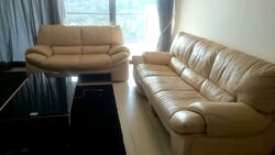 Newton Suites (D11), Apartment #558263761